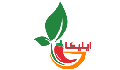 صیفی جات